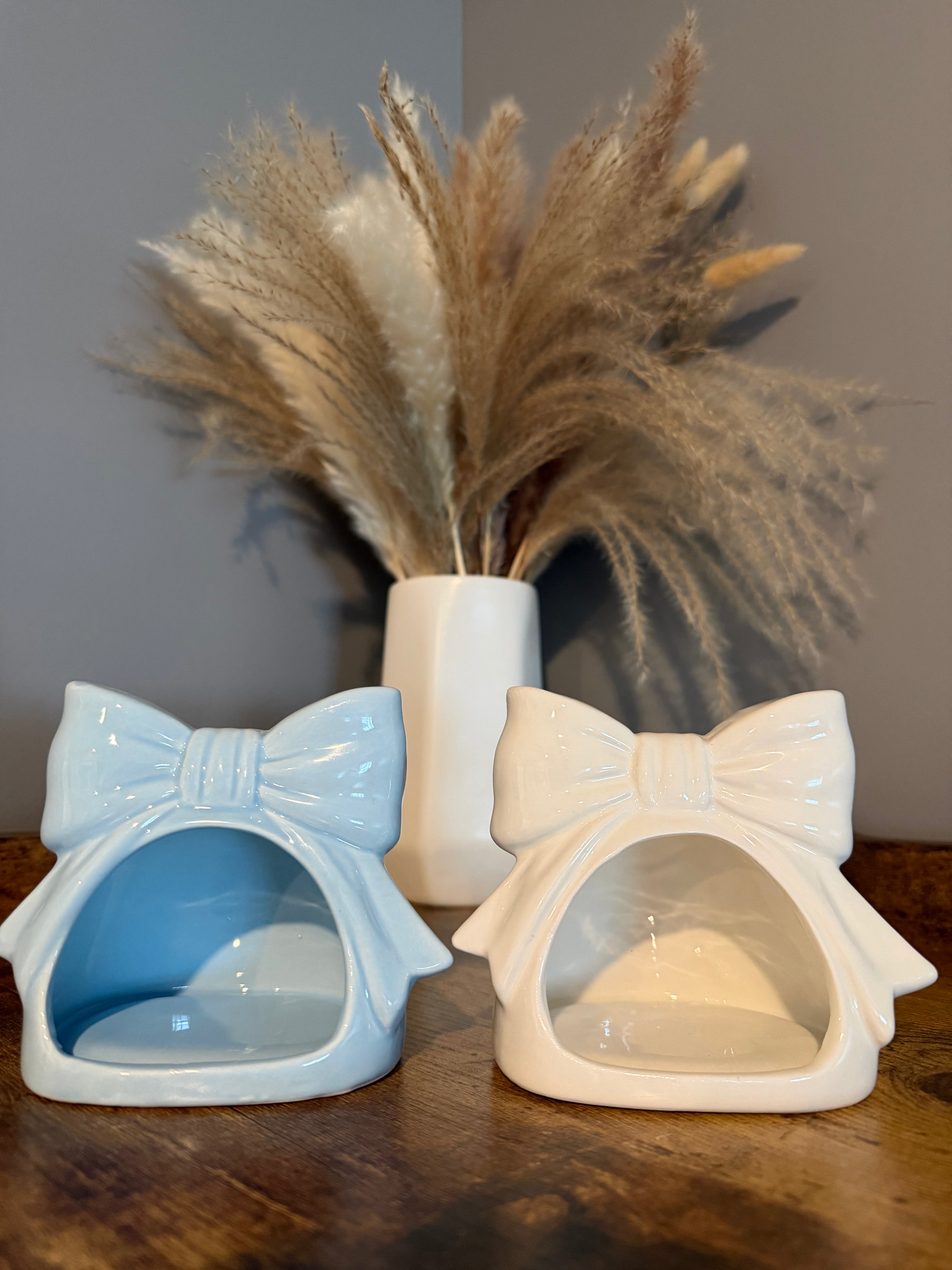Soap holder & soap bar